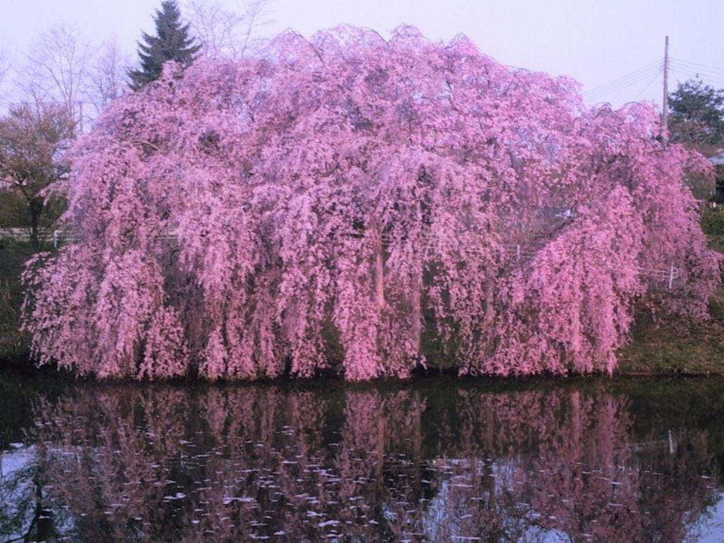 Yamayuri No Yado Hanamaki Esterno foto