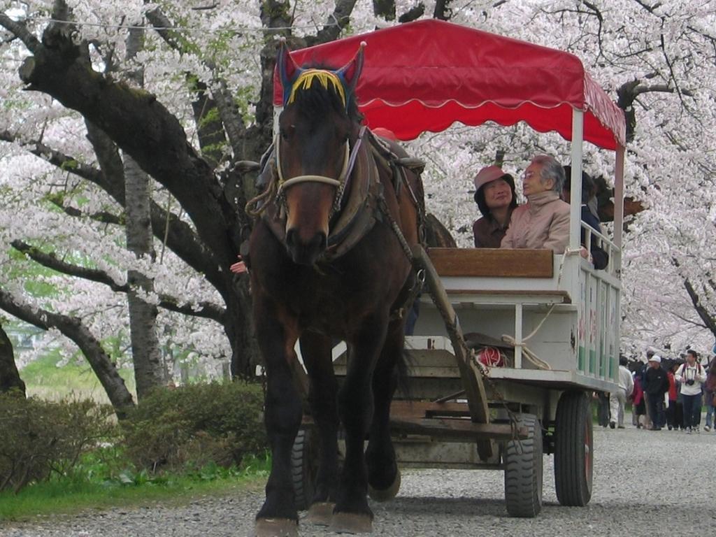 Yamayuri No Yado Hanamaki Esterno foto